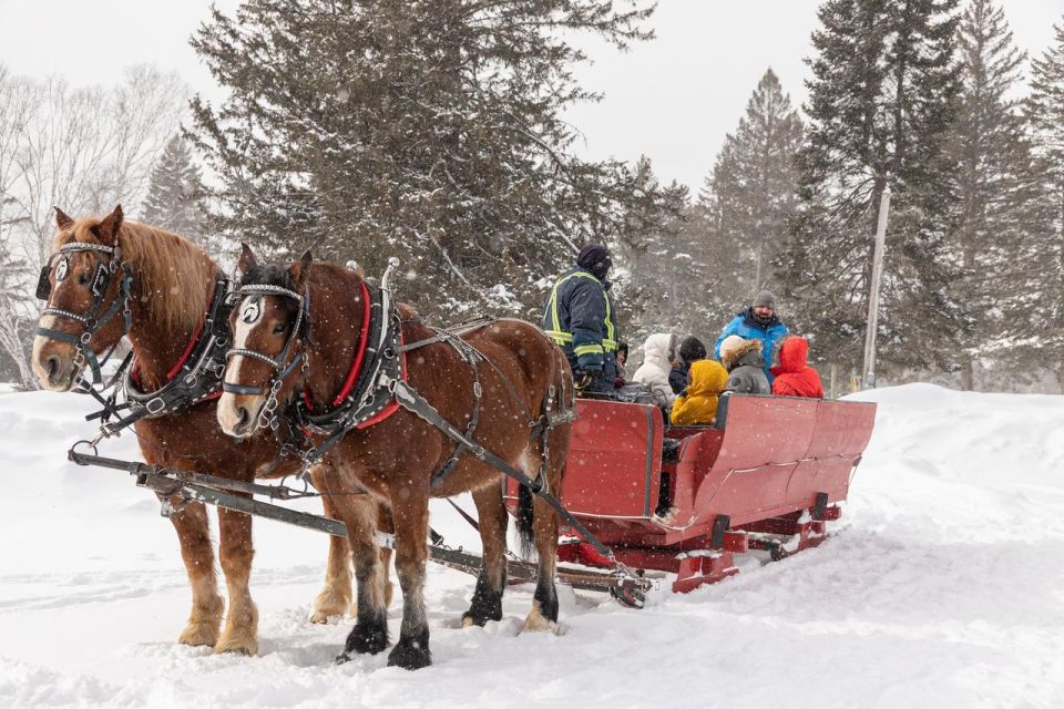 Mont-Tremblant: Sleigh Ride W/ Storytelling & Hot Chocolate - Customer Reviews