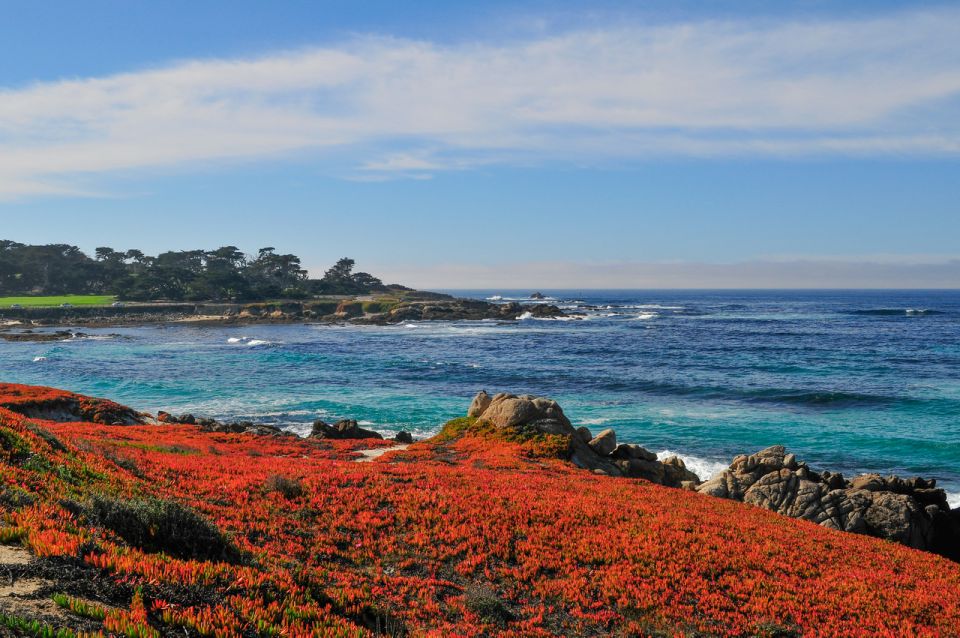 Monterey and Big Sur Discovery: Private Tour From San Jose - Common questions