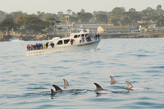 Monterey, California Family-Friendly Whale-Watching Boat Tour  - Monterey & Carmel - Common questions