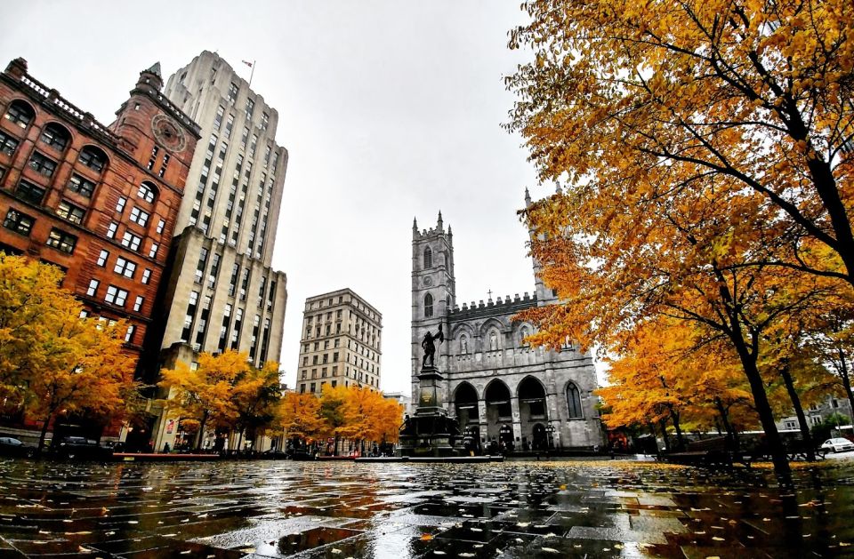 Montreal: Explore Old Montreal Small-Group Walking Tour - Important Information