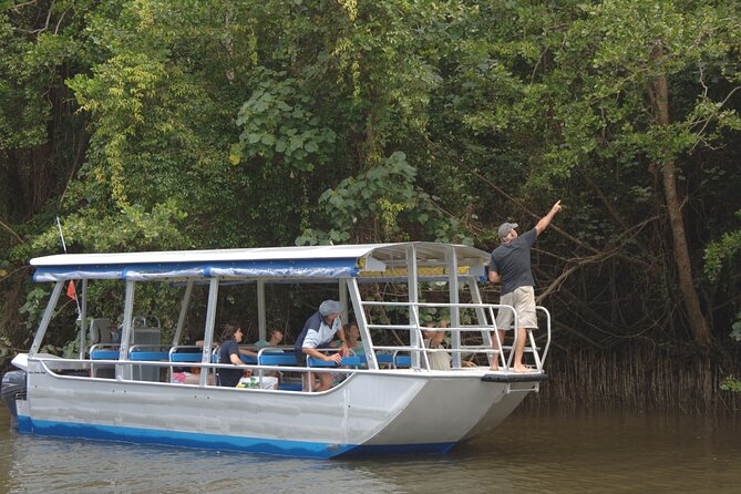 Morning Daintree River and Mossman Gorge From Port Douglas - Directions