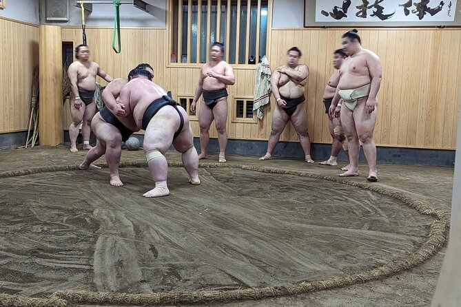 Morning Sumo Practice Viewing in Tokyo - Traveler Reviews