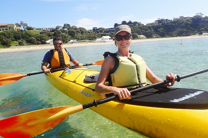 Mornington Peninsula Kayak Coastline Tour of Dolphin Sanctuary - Beginner-Friendly Experience