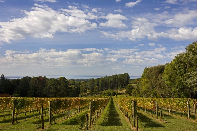 Mornington Peninsula Wine and Food Day Tour From Melbourne - Sum Up