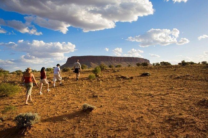 Mount Conner 4WD Small Group Tour From Ayers Rock Including Dinner - Logistics and Information