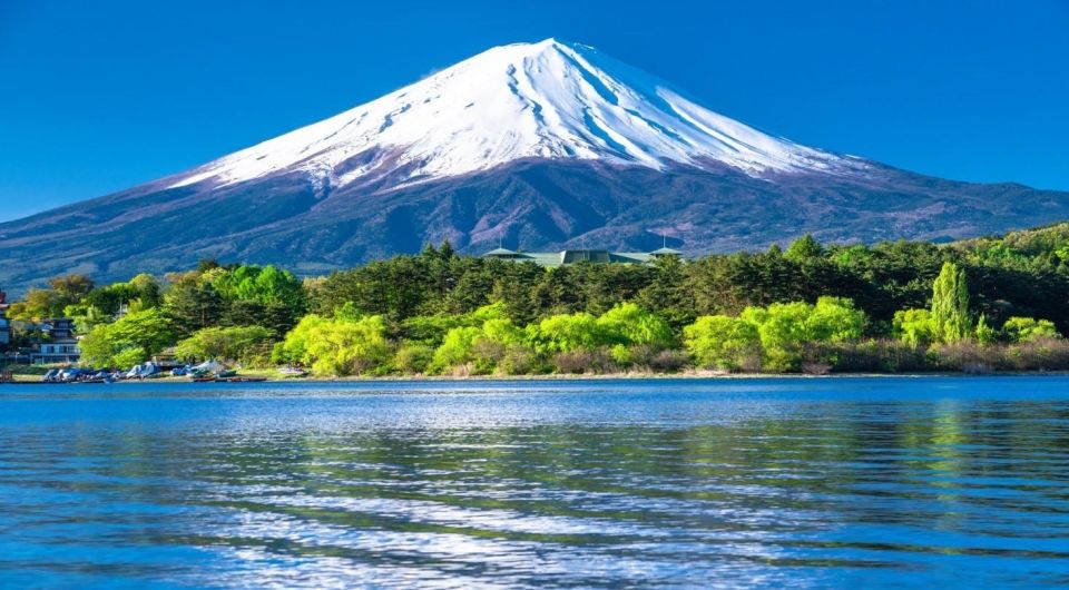 Mount Fuji Panoramic View & Shopping Day Tour - Assistance and Feedback