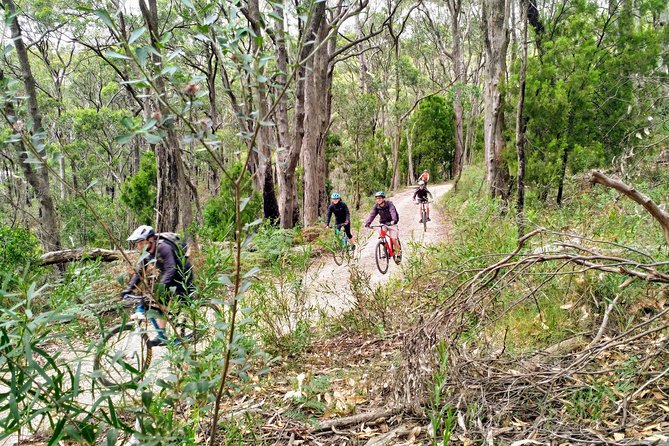 Mount Lofty Descent Bike Tour From Adelaide - Overall Experience