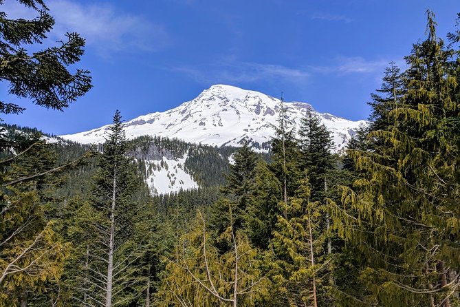 Mount Rainier National Park Luxury Small-Group Day Tour With Lunch - Visitor Testimonials and Reviews