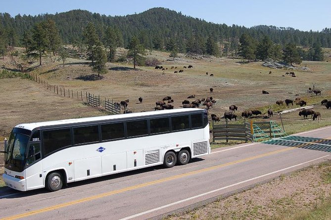 Mount Rushmore and Black Hills Bus Tour With Live Commentary - Driver Expertise and Destination Experience