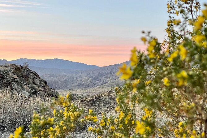 Mountain Sunrise Hike and Meditation in Palm Springs - Highlights of the Sunrise Hike Experience