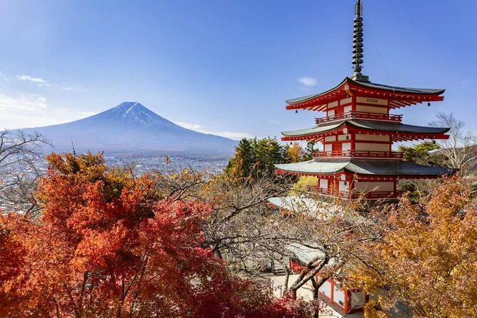 Mt. Fuji Majestic Tours : Shinjuku to Arakurayama and Beyond - Customer Support and Inquiries