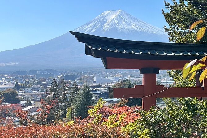 Mt. Fuji Private Sightseeing With Bilingual Chauffeur - Tour Experience Highlights