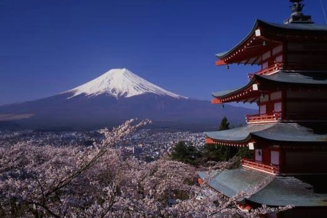 Mt Fuji Private Tour With English Speaking Driver - Tour Itinerary