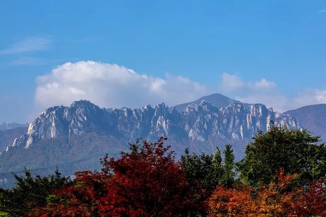 Mt. Seorak & The Tallest Ginko Tree at Yongmunsa - Visitor Information