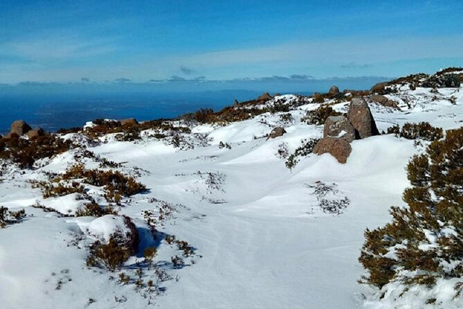 Mt Wellington Ultimate Experience Tour From Hobart - Logistics and Check-in Information