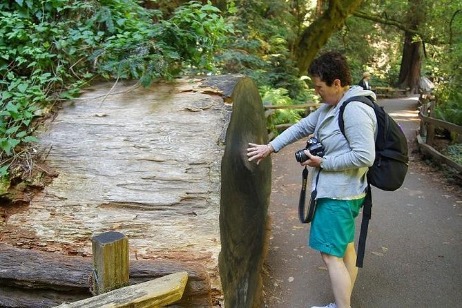 Muir Woods Tour of California Coastal Redwoods - Logistics and Policies