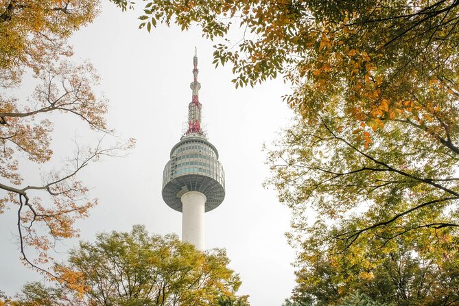 N Seoul Tower Observatory Ticket - Observations and Experiences