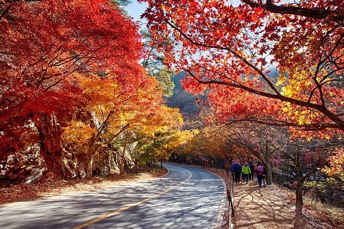 Naejangsan National Park Autumn Foliage Tour From Busan - Weather Considerations