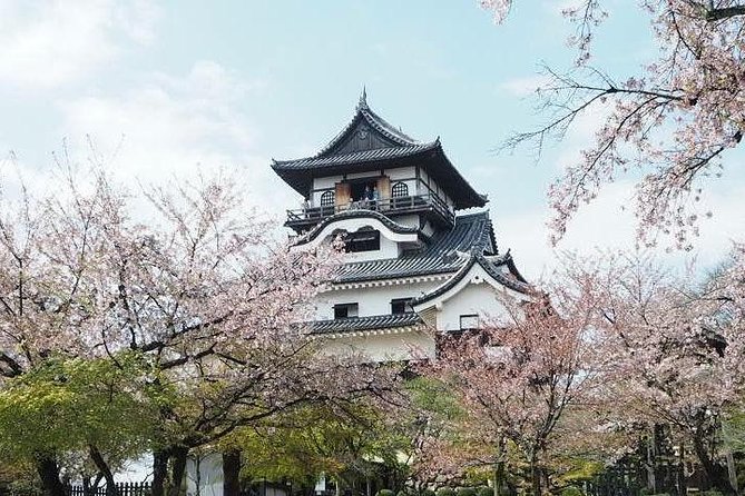 Nagoya / Aichi Half-Day Private Custom Tour With National Licensed Guide - Guide and Tour Details