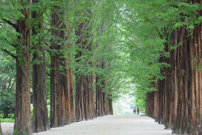 Nami Island & Mount Seorak Day Trip From Seoul - Additional Resources