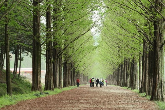 Nami Island& Petite France& Garden of Morning Calm& Italian Village One-Day Tour - Additional Information