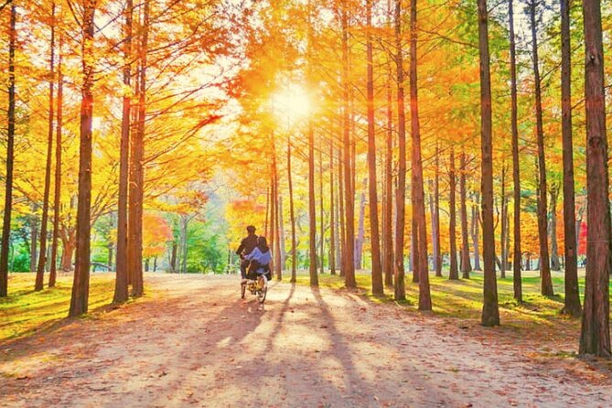 Nami Island & Strawberry Picking and Jam Making & Railbike - Minimum Traveler Requirements