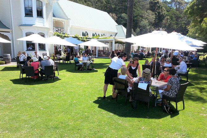 Napier Afternoon Wine, & Gin Tasting (Thurs Thru to Saturdays ) - Tour Experiences