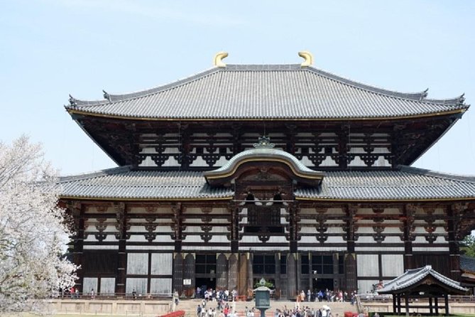 Nara Private Tour by Public Transportation From Kyoto - Common questions