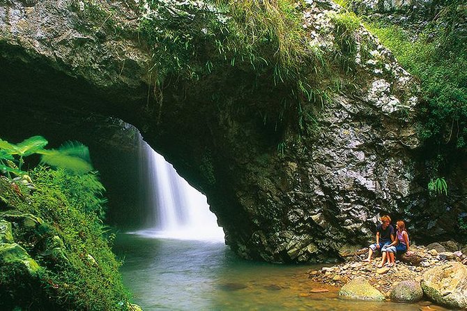 Natural Bridge Glow Worm Night Tour From Gold Coast - Directions