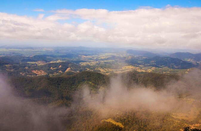 Natural Bridge & Springbrook Waterfalls Tour - Guide Feedback