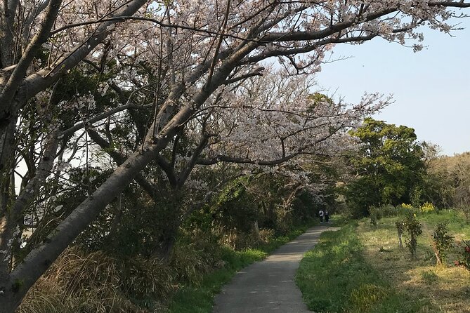 Nature Observation, Tumulus, Arts, Kobo Trails Tour of Sakushima - Enjoyable Activities on Sakushima