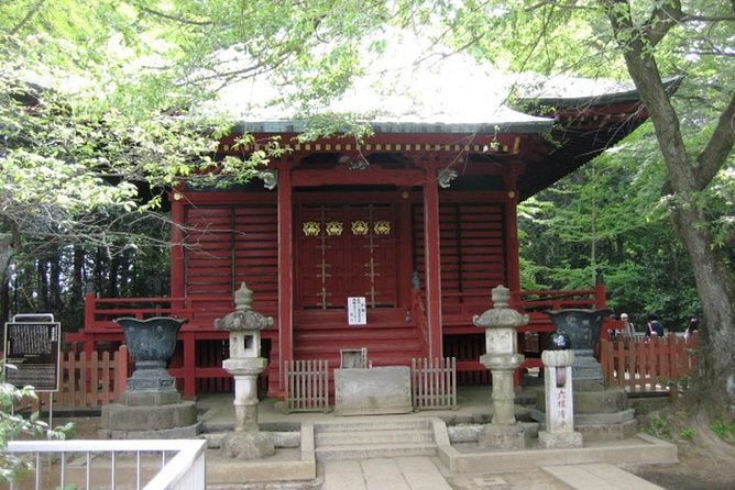Nature Tour at Mt. Takao - Additional Information