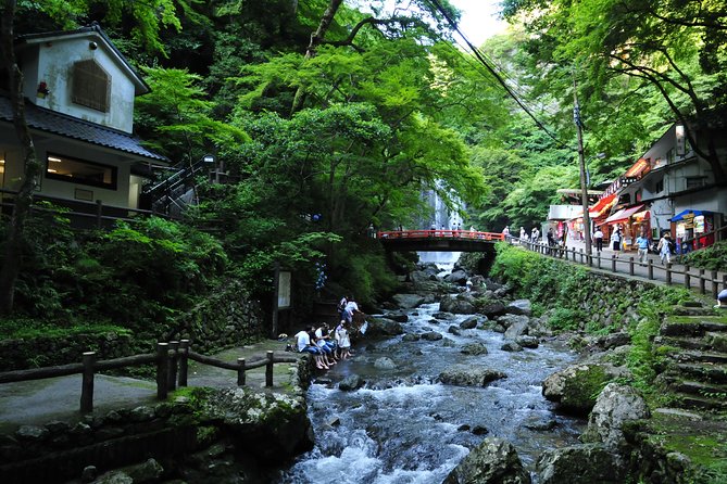 Nature Walk at Minoo Park, the Best Nature and Waterfall in Osaka - Understanding the Local Flora and Fauna