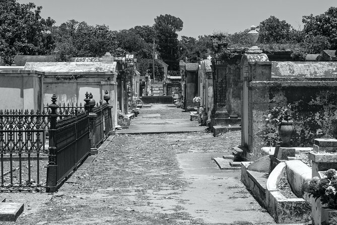 New Orleans Cemetery Bus Tour After Dark - Reviews and Recommendations