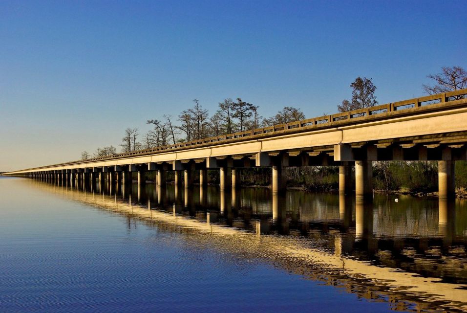 New Orleans: Private Guided City Tour - Activity Information