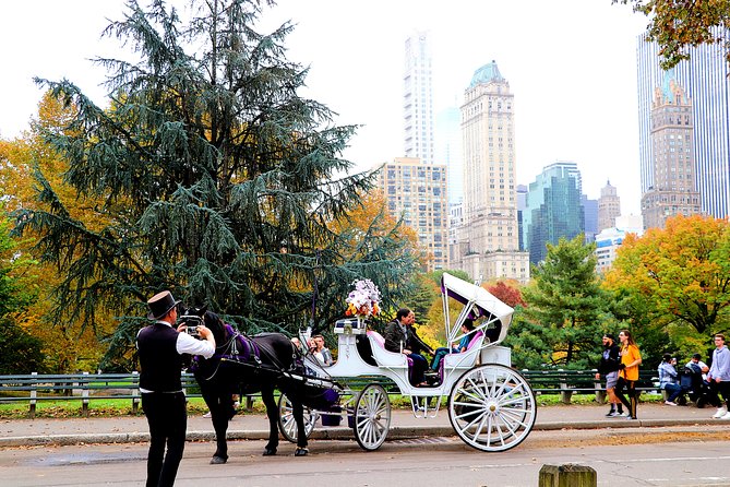 New York City: Central Park Private Horse-and-Carriage Tour - Meeting Point Details