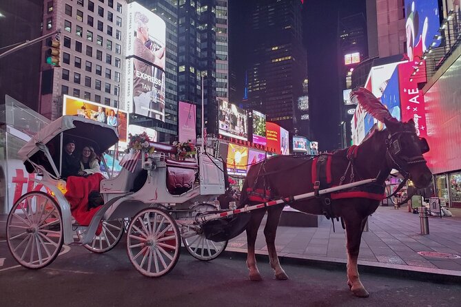 New York City Christmas Lights Private Horse Carriage Ride - Booking Information and Support