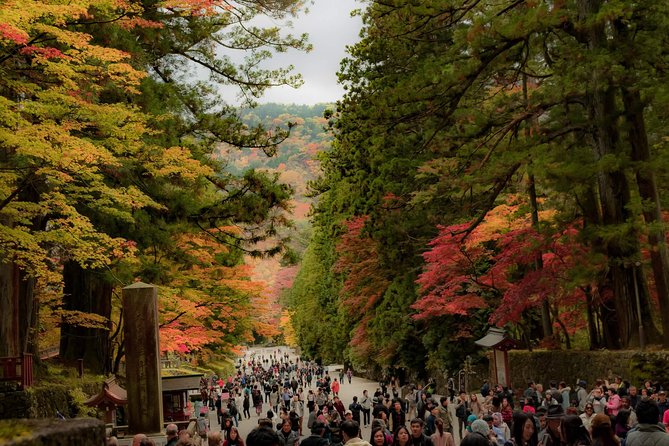 Nikko Custom Full Day Tour - General Information and Contact