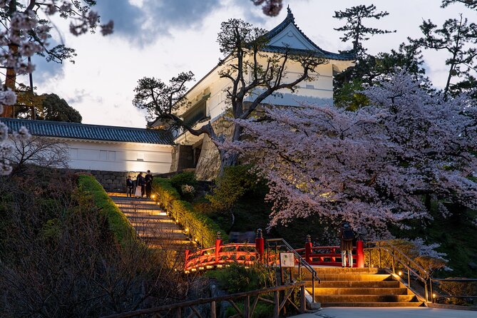 Ninja, Samurai, Odawara Castle Experience - Reviews