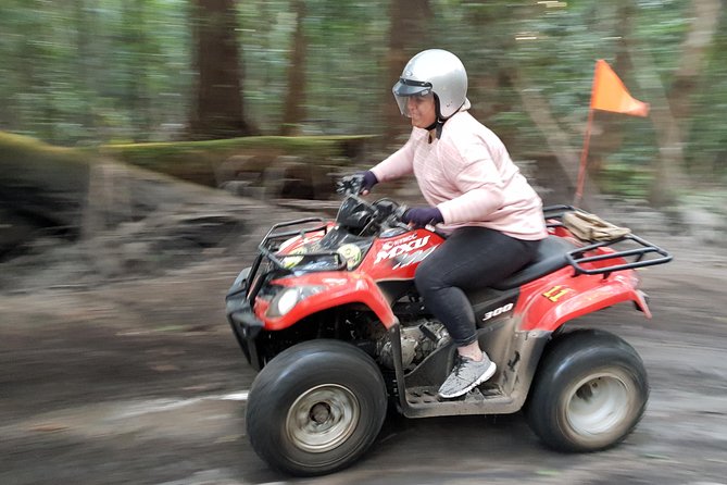 Noosa Quad Bike Tours - What To Expect