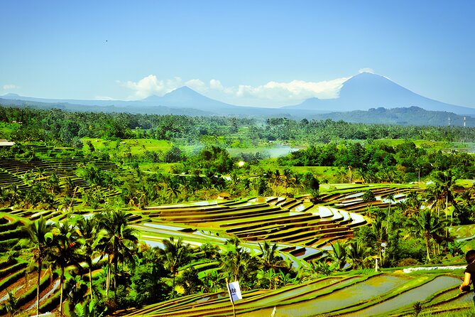 North and West Bali Temples and Farms Private Tour With Lunch  - Seminyak - Additional Information