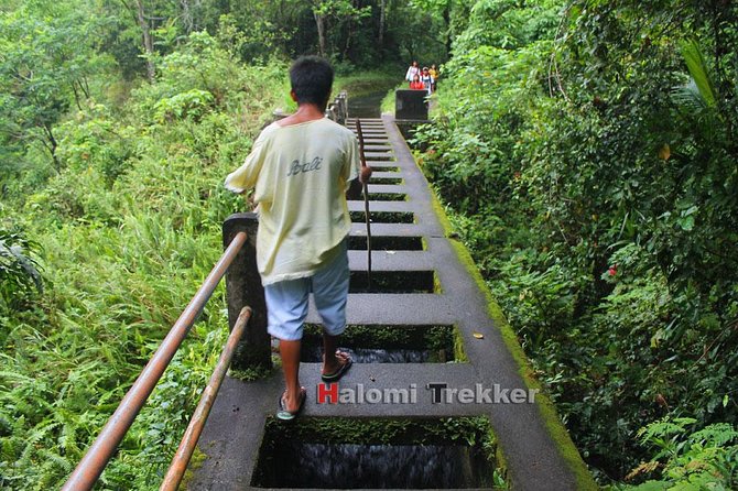 North Lombok Waterfall Hike: Sendang Gila and Tiu Kelep - Customer Reviews