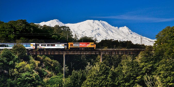Northern Explorer Train Journey From Auckland to Wellington - Traveler Experience and Amenities