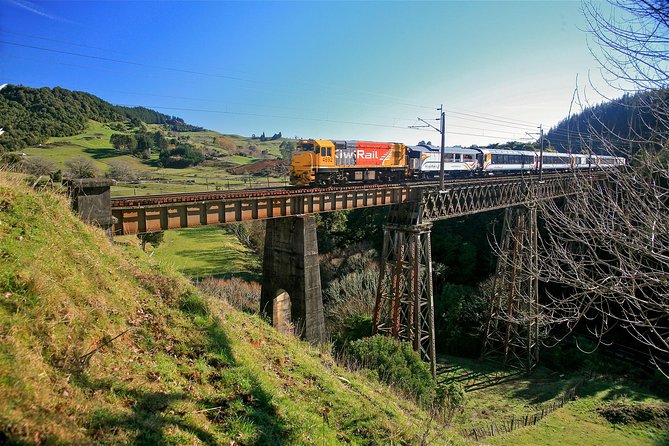 Northern Explorer Train Journey From Wellington to Auckland - Traveler Testimonials