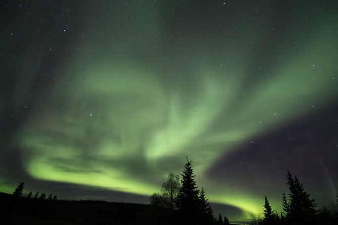Northern Lights Murphy Dome Viewing in Fairbanks - Sum Up