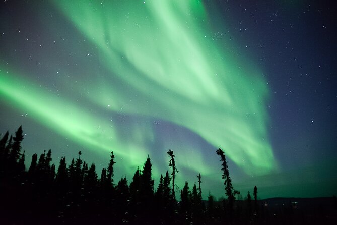 Northern Lights Viewing at Murphy Dome - Safety Measures & Customer Experiences