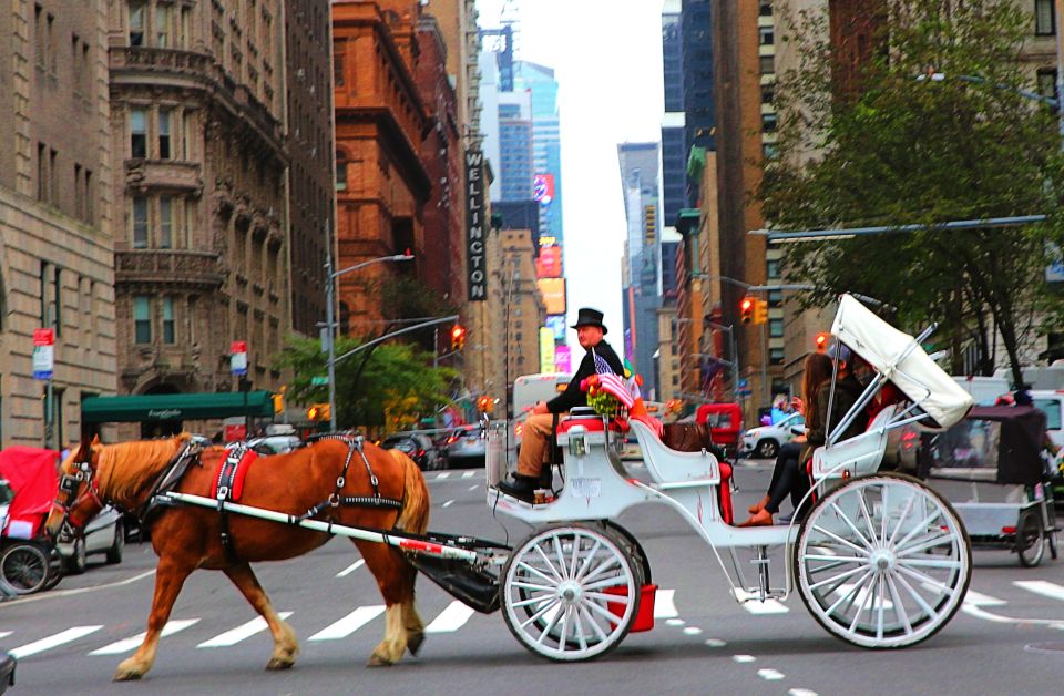 NYC: Central Park Horse-Drawn Carriage Ride (up to 4 Adults) - Review Summary