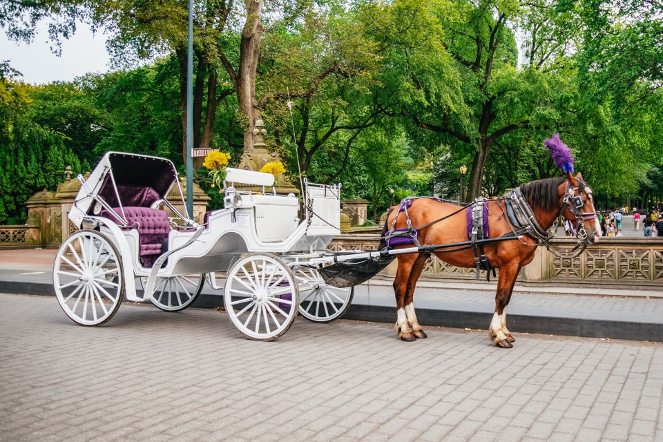 NYC: Guided Central Park Horse Carriage Ride - Safety and Guidelines