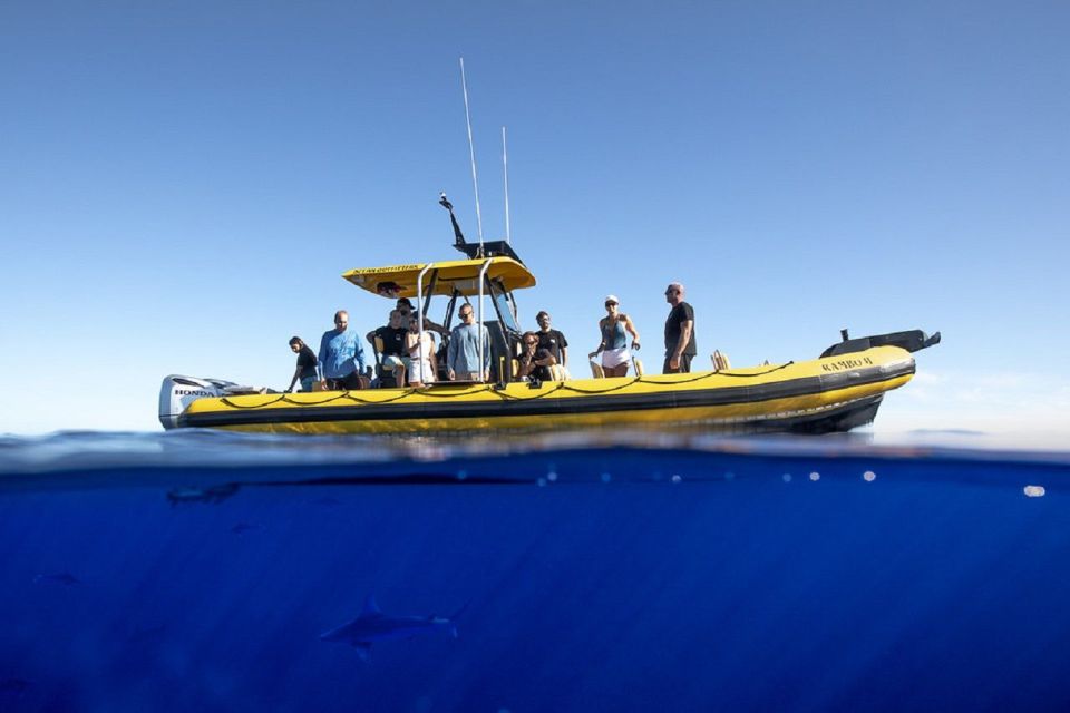 Oahu: North Shore Haleʻiwa: Private Boat Charter - Directions