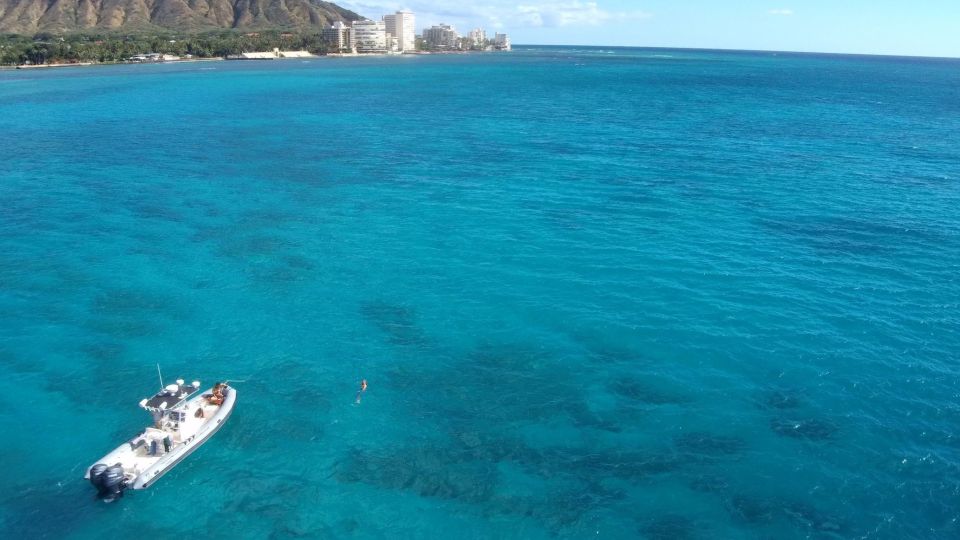 Oahu: Waikiki Private Snorkeling and Wildlife Boat Tour - Snorkeling at Turtle Canyon